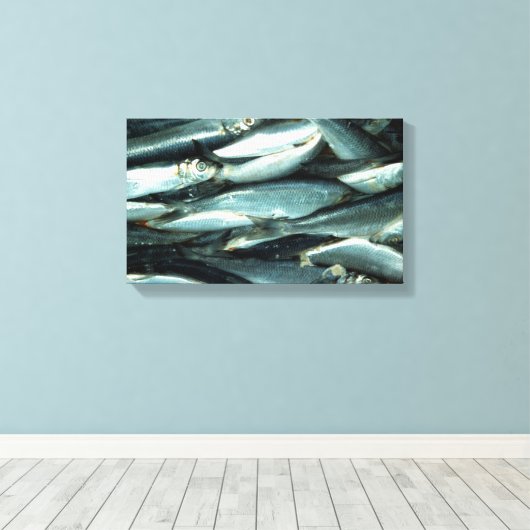 Toile Poisson (Insitu (Plancher de Bois))