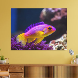 Toile poisson-bassette royal gramma