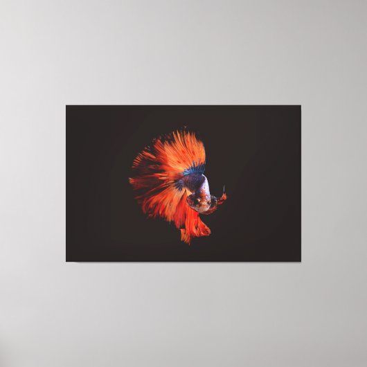 Toile Poisson Betta (Recto)