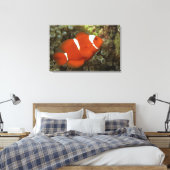 Toile Poisson clown de Maron avec anémone de mer (Insitu(Chambre))