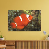 Toile Poisson clown de Maron avec anémone de mer (Insitu(Salon))