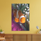 Toile Poisson clown occidental (Insitu(Salon))