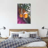 Toile Poisson clown occidental (Insitu(Chambre))