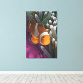 Toile Poisson clown occidental (Insitu (Plancher de Bois))