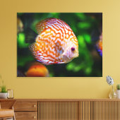 Toile poisson de couleur (Insitu(Salon))