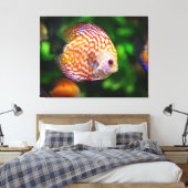 Toile poisson de couleur (Insitu(Chambre))