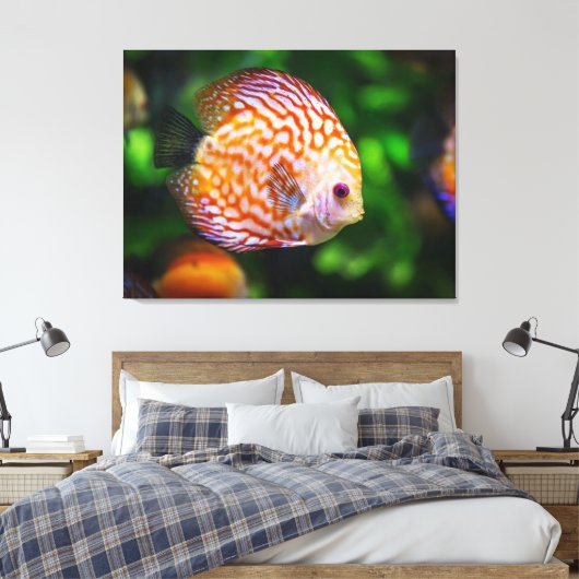 Toile poisson de couleur (Insitu(Chambre))