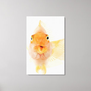 Toile Poisson d'eau douce tropical