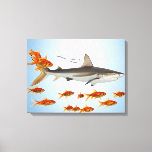Toile Poisson Doré et Requin (Recto)