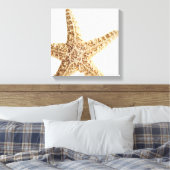 Toile Poisson étoile (Insitu(Chambre))
