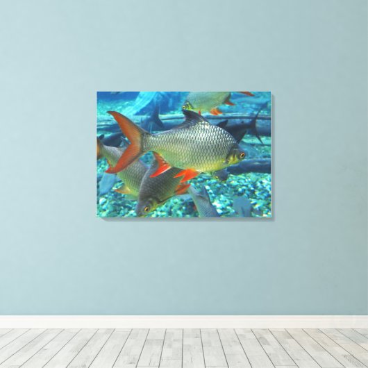 Toile Poisson perche (Insitu (Plancher de Bois))