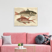 Toile Poisson Perche rouge Art pêcheur (Insitu(Salon))