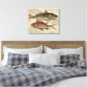 Toile Poisson Perche rouge Art pêcheur (Insitu(Chambre))