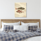 Toile Poisson Perche rouge Art pêcheur (Insitu(Chambre))