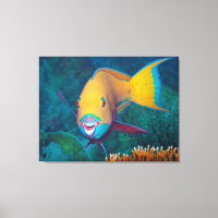 Poisson-perroquet - Maquillage frappant! Photo col