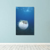 Toile Poisson Porcupine tacheté (Insitu (Plancher de Bois))