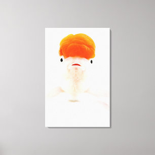 Toile Poisson rouge de lionhead de policier militaire