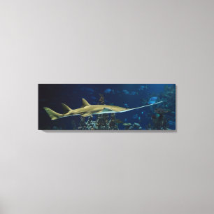 Toile Poisson-scie