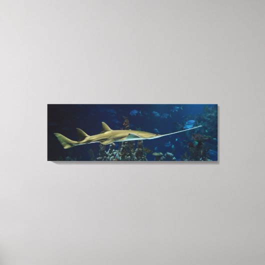 Toile Poisson-scie (Recto)