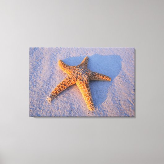 Toile Poisson Sur Sable Blanc (Recto)