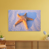 Toile Poisson Sur Sable Blanc (Insitu(Salon))