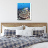 Toile Poisson Sweetlip (Insitu(Chambre))
