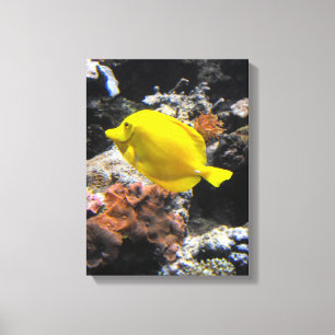 Toile Poisson tangue jaune