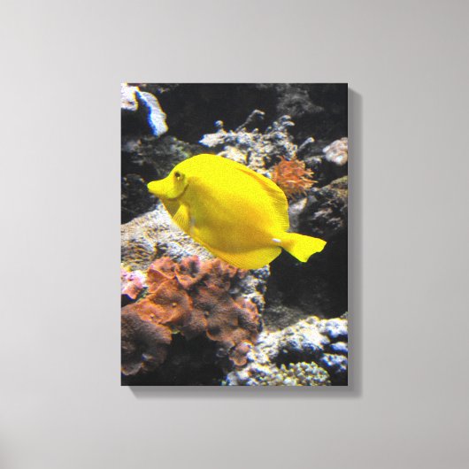 Toile Poisson tangue jaune (Recto)