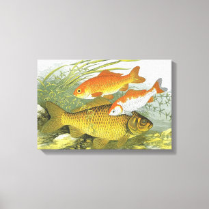 Toile Poisson vintage Koi Poisson, Marine Aquatique Vie