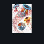 Toile Poisson vintage par Ernst Haeckel, Discomedusae<br><div class="desc">Illustration vintage conception biologique de la vie marine par Ernst Haeckel. Une variété d'animaux méduses colorés nageant dans les eaux de la mer. Les méduses sont des animaux aquatiques nageant librement avec un corps en forme de parapluie et de longues tentacules. On les trouve dans tous les océans et dans...</div>