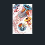 Toile Poisson vintage par Ernst Haeckel, Discomedusae<br><div class="desc">Illustration vintage conception biologique de la vie marine par Ernst Haeckel. Une variété d'animaux méduses colorés nageant dans les eaux de la mer. Les méduses sont des animaux aquatiques nageant librement avec un corps en forme de parapluie et de longues tentacules. On les trouve dans tous les océans et dans...</div>