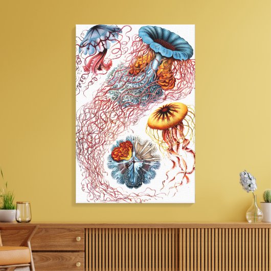 Toile Poisson vintage par Ernst Haeckel, Discomedusae (Insitu(Salon))