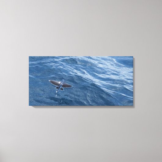 Toile Poisson Volant (Recto)