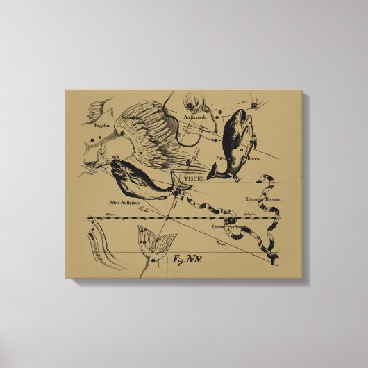 Toile Poissons Constellation Hevelius vers 1690 (Recto)