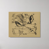 Toile Poissons Constellation Hevelius vers 1690 (Recto)