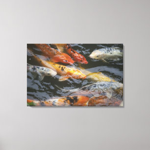 Toile Poissons effarouchés
