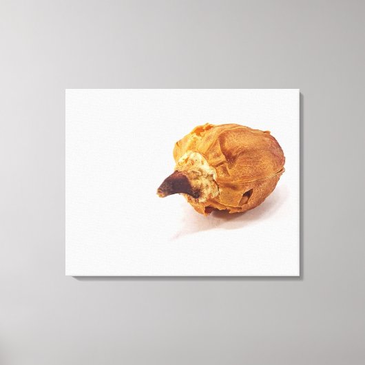 Toile Poivre (Recto)