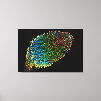 Toile POKER CHAUD ROUGE 32x48