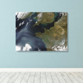 Toile Pollution en France (Insitu (Plancher de Bois))