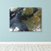 Toile Pollution en France (Insitu (Plancher de Bois))