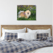 Toile Poméranie debout regardant la caméra (Insitu(Chambre))