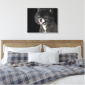 Toile Poméranien noir à gauche (Insitu(Chambre))