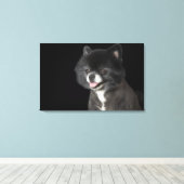 Toile Poméranien noir à gauche (Insitu (Plancher de Bois))