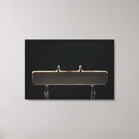 Toile Pommel (Recto)