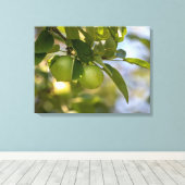Toile Pommes sur une branche (Insitu (Plancher de Bois))