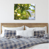 Toile Pommes sur une branche (Insitu(Chambre))