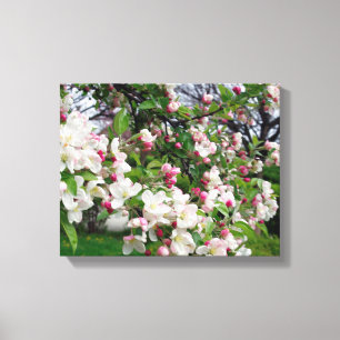 Toile Pommier fleurit.