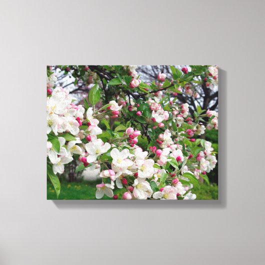 Toile Pommier fleurit. (Recto)