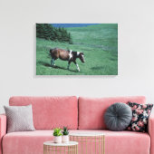 Toile Poney dans les pâturages (Insitu(Salon))