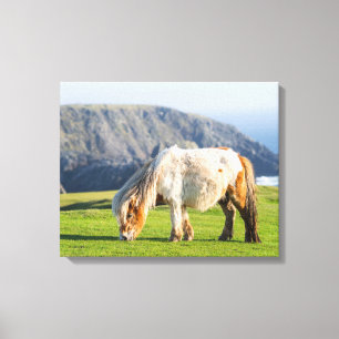 Toile Poney Shetland dans un pâturage près de hautes fal